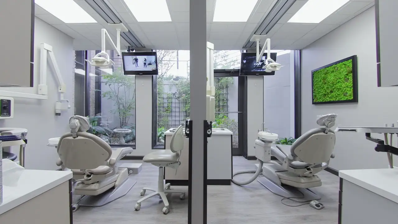 Two treatment rooms at Northbrook Dental Group, their windows looking onto a planted courtyard.